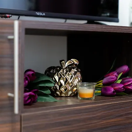 Avala 26, Kompleks Titova Lägenhet Zlatibor