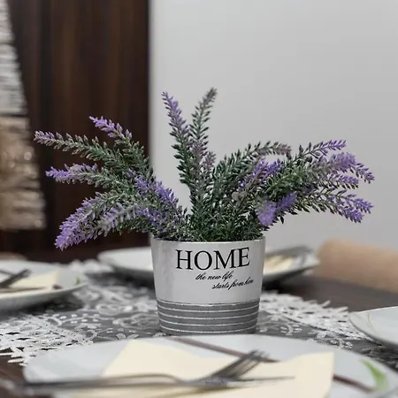 Avala 26, Kompleks Titova Lägenhet