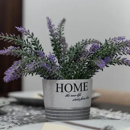 Lägenhet Avala 26, Kompleks Titova