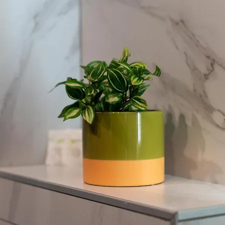 Апартаменты Avala 26, Kompleks Titova Златибор