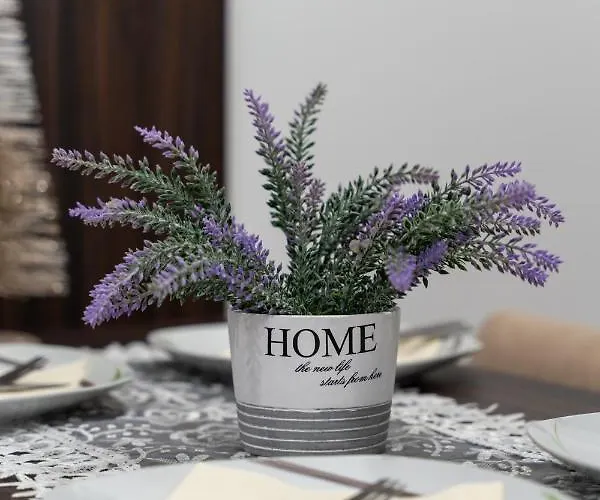 Avala 26, Kompleks Titova דירה