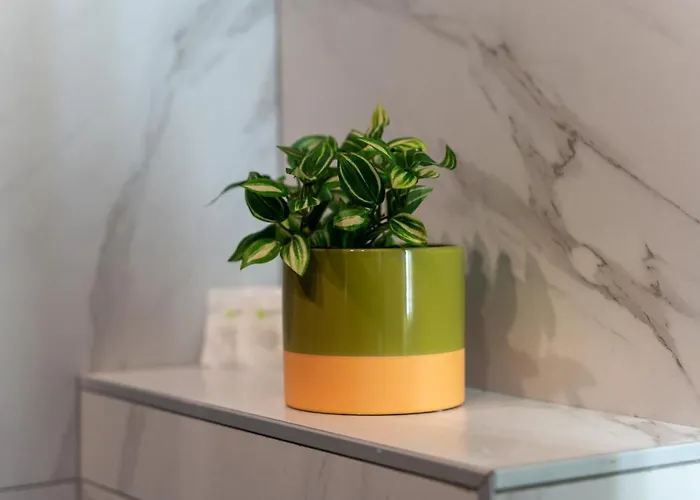 דירה Avala 26, Kompleks Titova זלאטיבור